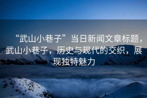 “武山小巷子”當(dāng)日新聞文章標(biāo)題，武山小巷子，歷史與現(xiàn)代的交織，展現(xiàn)獨(dú)特魅力