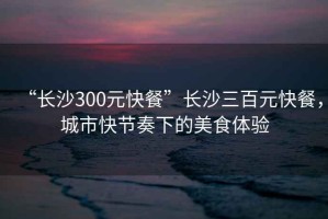 “長(zhǎng)沙300元快餐”長(zhǎng)沙三百元快餐，城市快節(jié)奏下的美食體驗(yàn)