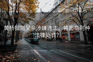 黃楊鈿甜父親涉嫌違法，將面臨何種法律處罰？