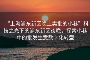 “上海浦東新區(qū)晚上賣批的小巷”科技之光下的浦東新區(qū)夜晚，探索小巷中的批發(fā)生意數(shù)字化轉(zhuǎn)型