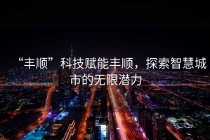 “豐順”科技賦能豐順，探索智慧城市的無限潛力