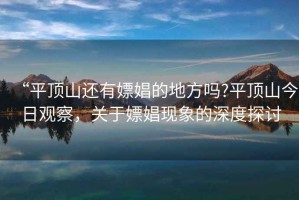 “平頂山還有嫖娼的地方嗎?平頂山今日觀察，關(guān)于嫖娼現(xiàn)象的深度探討