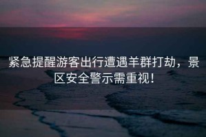 緊急提醒游客出行遭遇羊群打劫，景區(qū)安全警示需重視！