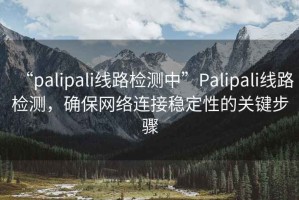 “palipali線路檢測(cè)中”Palipali線路檢測(cè)，確保網(wǎng)絡(luò)連接穩(wěn)定性的關(guān)鍵步驟