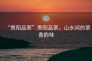 “貴陽(yáng)品茶”貴陽(yáng)品茶，山水間的茶香韻味