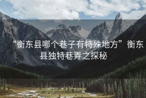 “衡東縣哪個巷子有特殊地方”衡東縣獨特巷弄之探秘