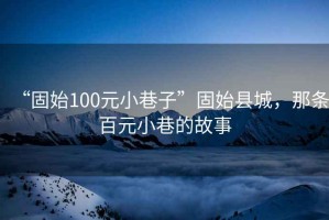 “固始100元小巷子”固始縣城，那條百元小巷的故事