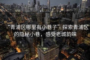 “青浦區(qū)哪里有小巷子”探索青浦區(qū)的隱秘小巷，感受老城韻味
