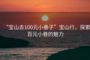 “寶山去100元小巷子”寶山行，探索百元小巷的魅力