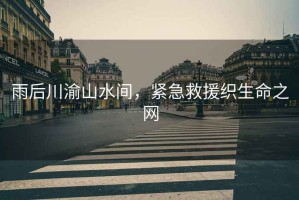 雨后川渝山水間，緊急救援織生命之網(wǎng)