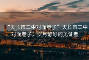 “天長(zhǎng)市二中對(duì)面巷子”天長(zhǎng)市二中對(duì)面巷子，歲月靜好的見證者