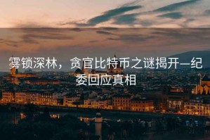 霧鎖深林，貪官比特幣之謎揭開—紀(jì)委回應(yīng)真相