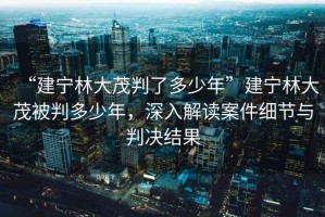 “建寧林大茂判了多少年”建寧林大茂被判多少年，深入解讀案件細(xì)節(jié)與判決結(jié)果