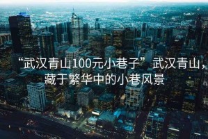 “武漢青山100元小巷子”武漢青山，藏于繁華中的小巷風(fēng)景