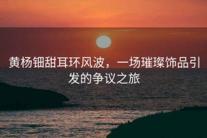 黃楊鈿甜耳環(huán)風(fēng)波，一場(chǎng)璀璨飾品引發(fā)的爭(zhēng)議之旅