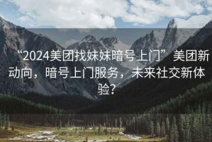 “2024美團(tuán)找妹妹暗號(hào)上門”美團(tuán)新動(dòng)向，暗號(hào)上門服務(wù)，未來(lái)社交新體驗(yàn)？