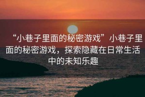 “小巷子里面的秘密游戲”小巷子里面的秘密游戲，探索隱藏在日常生活中的未知樂趣
