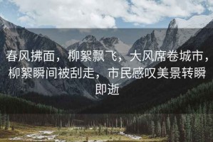 春風(fēng)拂面，柳絮飄飛，大風(fēng)席卷城市，柳絮瞬間被刮走，市民感嘆美景轉(zhuǎn)瞬即逝