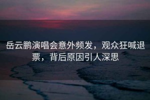 岳云鵬演唱會意外頻發(fā)，觀眾狂喊退票，背后原因引人深思