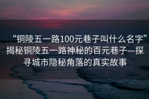 “銅陵五一路100元巷子叫什么名字”揭秘銅陵五一路神秘的百元巷子—探尋城市隱秘角落的真實(shí)故事