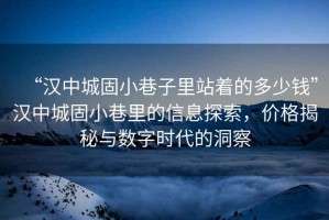 “漢中城固小巷子里站著的多少錢”漢中城固小巷里的信息探索，價格揭秘與數(shù)字時代的洞察