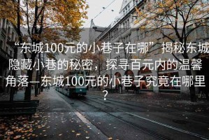 “東城100元的小巷子在哪”揭秘東城隱藏小巷的秘密，探尋百元內(nèi)的溫馨角落—東城100元的小巷子究竟在哪里？