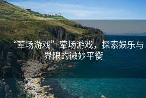 “葷場游戲”葷場游戲，探索娛樂與界限的微妙平衡
