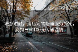 暖意融融，酒店寵物陪睡服務(wù)受寵，狗狗日薪100元傳遞溫情