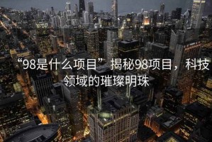 “98是什么項目”揭秘98項目，科技領域的璀璨明珠
