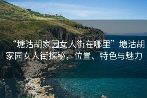 “塘沽胡家園女人街在哪里”塘沽胡家園女人街探秘，位置、特色與魅力