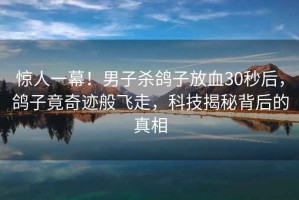 驚人一幕！男子殺鴿子放血30秒后，鴿子竟奇跡般飛走，科技揭秘背后的真相