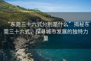 “東莞三十六式分別是什么”揭秘東莞三十六式，探尋城市發(fā)展的獨特力量