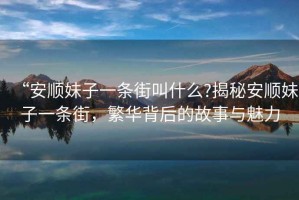 “安順妹子一條街叫什么?揭秘安順妹子一條街，繁華背后的故事與魅力