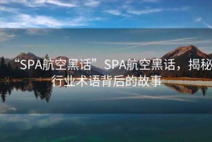 “SPA航空黑話”SPA航空黑話，揭秘行業(yè)術(shù)語背后的故事