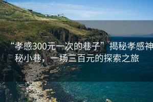 “孝感300元一次的巷子”揭秘孝感神秘小巷，一場(chǎng)三百元的探索之旅