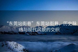 “東莞站街巷”東莞站街巷，歷史脈絡(luò)與現(xiàn)代風(fēng)貌的交織