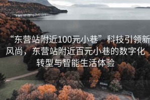 “東營站附近100元小巷”科技引領(lǐng)新風尚，東營站附近百元小巷的數(shù)字化轉(zhuǎn)型與智能生活體驗