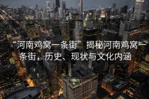 “河南雞窩一條街”揭秘河南雞窩一條街，歷史、現(xiàn)狀與文化內(nèi)涵
