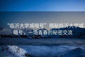 “臨沂大學(xué)城暗號”揭秘臨沂大學(xué)城暗號，一場青春的秘密交流