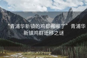 “青浦華新鎮(zhèn)的雞都搬哪了”青浦華新鎮(zhèn)雞群遷移之謎