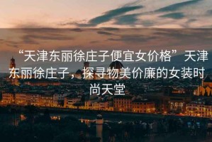 “天津東麗徐莊子便宜女價格”天津東麗徐莊子，探尋物美價廉的女裝時尚天堂
