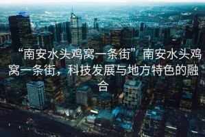 “南安水頭雞窩一條街”南安水頭雞窩一條街，科技發(fā)展與地方特色的融合