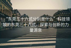 “東莞三十六式分別是什么”科技領(lǐng)域的東莞三十六式，探索與創(chuàng)新的力量源泉