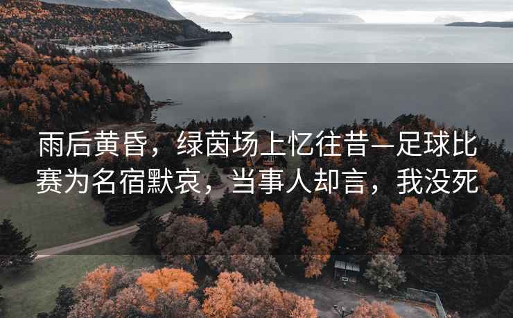 雨后黃昏，綠茵場(chǎng)上憶往昔—足球比賽為名宿默哀，當(dāng)事人卻言，我沒(méi)死