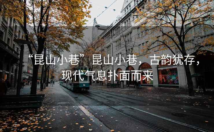 “昆山小巷”昆山小巷，古韻猶存，現(xiàn)代氣息撲面而來