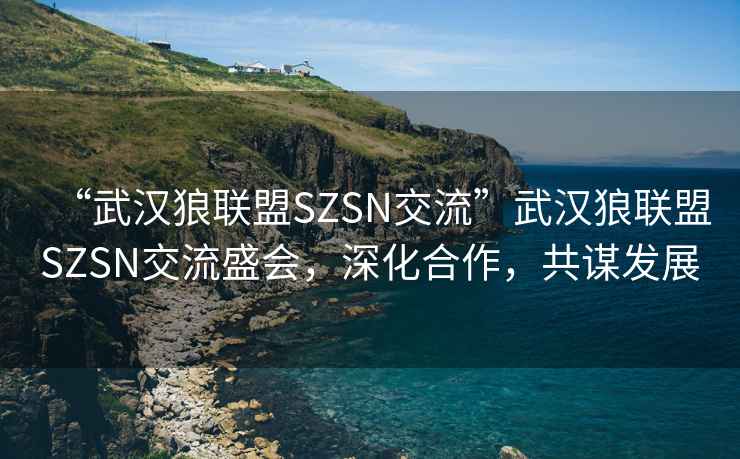 “武漢狼聯(lián)盟SZSN交流”武漢狼聯(lián)盟SZSN交流盛會，深化合作，共謀發(fā)展