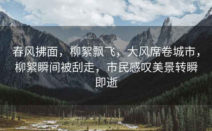 春風(fēng)拂面，柳絮飄飛，大風(fēng)席卷城市，柳絮瞬間被刮走，市民感嘆美景轉(zhuǎn)瞬即逝