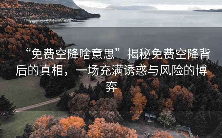“免費空降啥意思”揭秘免費空降背后的真相，一場充滿誘惑與風險的博弈