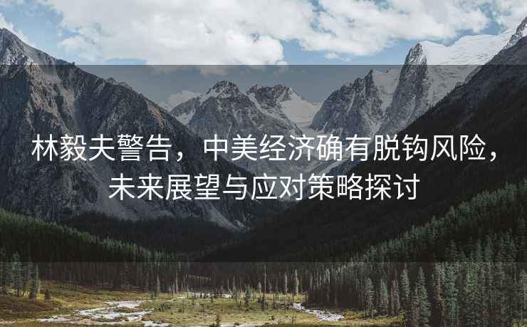 林毅夫警告，中美經(jīng)濟確有脫鉤風險，未來展望與應對策略探討