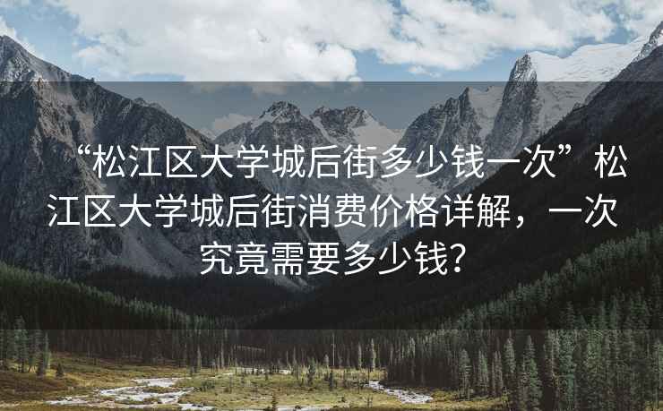 “松江區(qū)大學(xué)城后街多少錢一次”松江區(qū)大學(xué)城后街消費價格詳解，一次究竟需要多少錢？